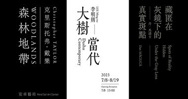 安卓「大樹當代」李明則、「森林地帶」克里斯托弗．戴樂、「藏匿在灰鏡下的真實斑點」 丹．馬諸卡 - 安卓藝術MSAC
