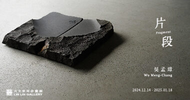 202411畫廊協會 - Lin Lin